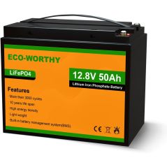 Eco Worthy LiFePO4 accu 12V 50Ah met BMS